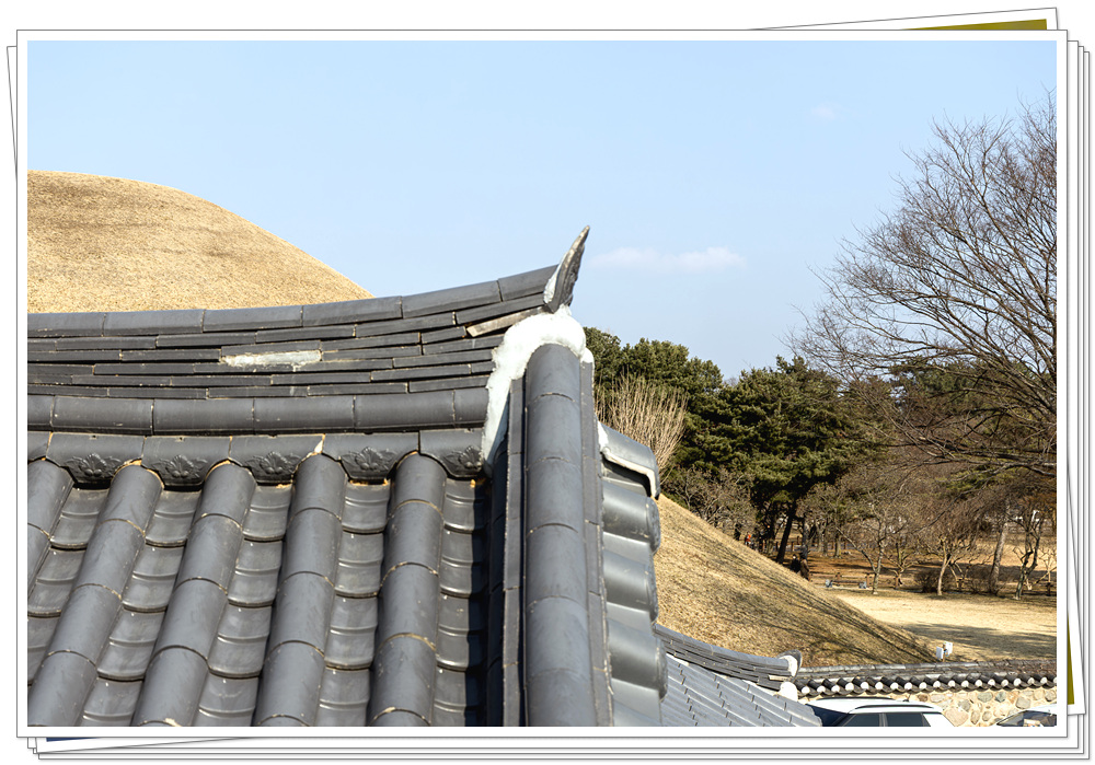 보정-45.jpg
